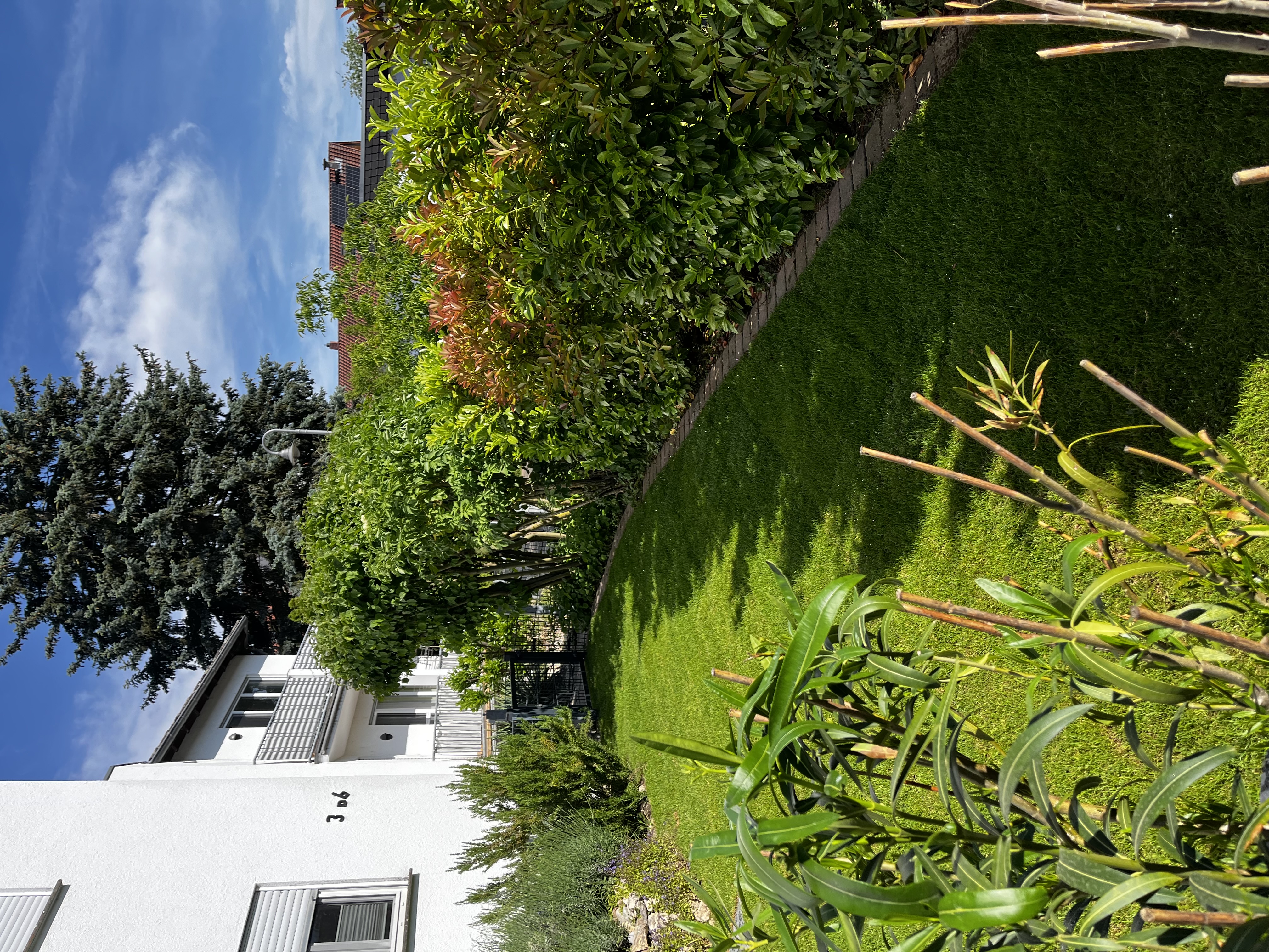 Grüner Garten