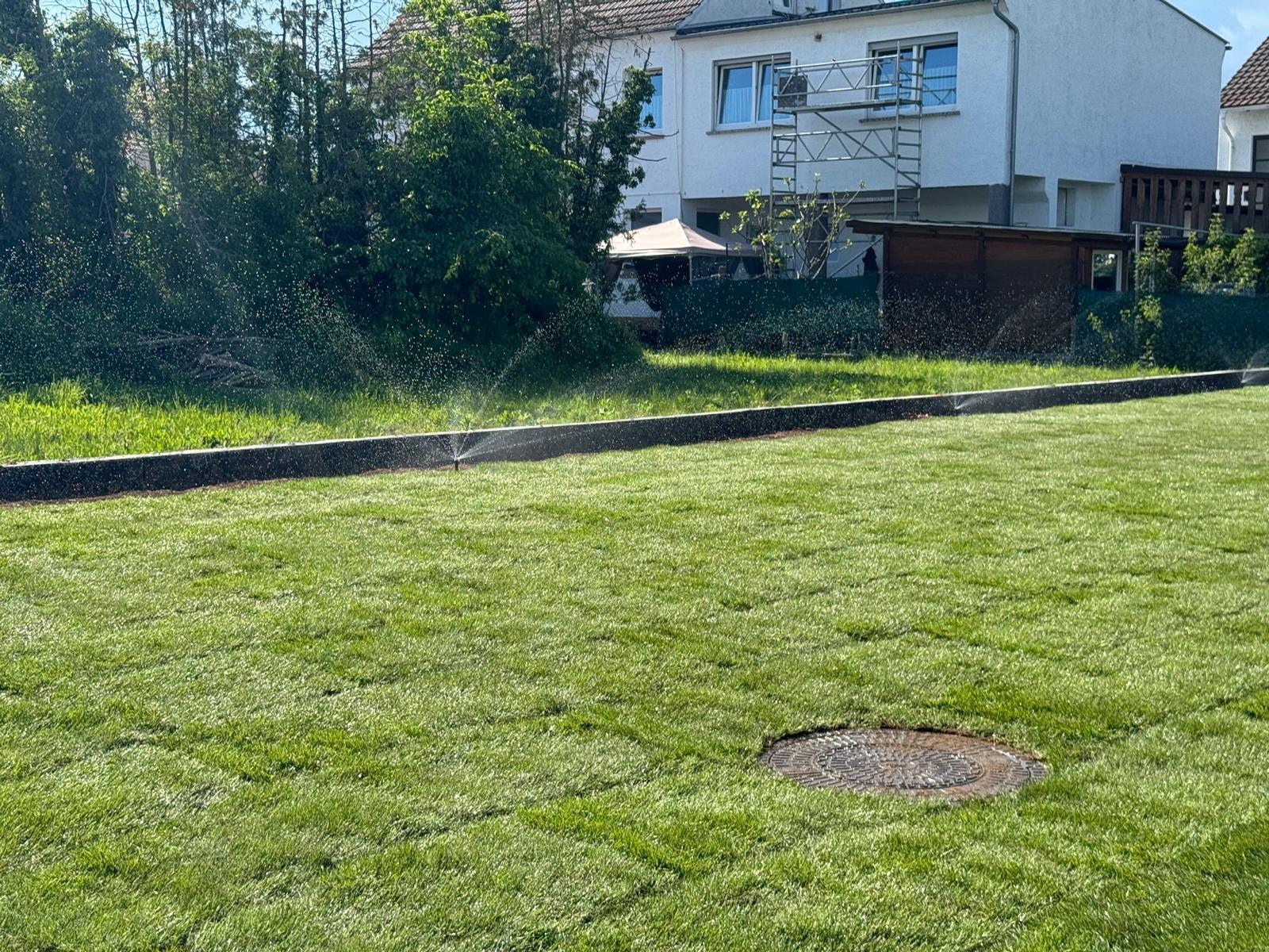 Bewässerung in Alzey