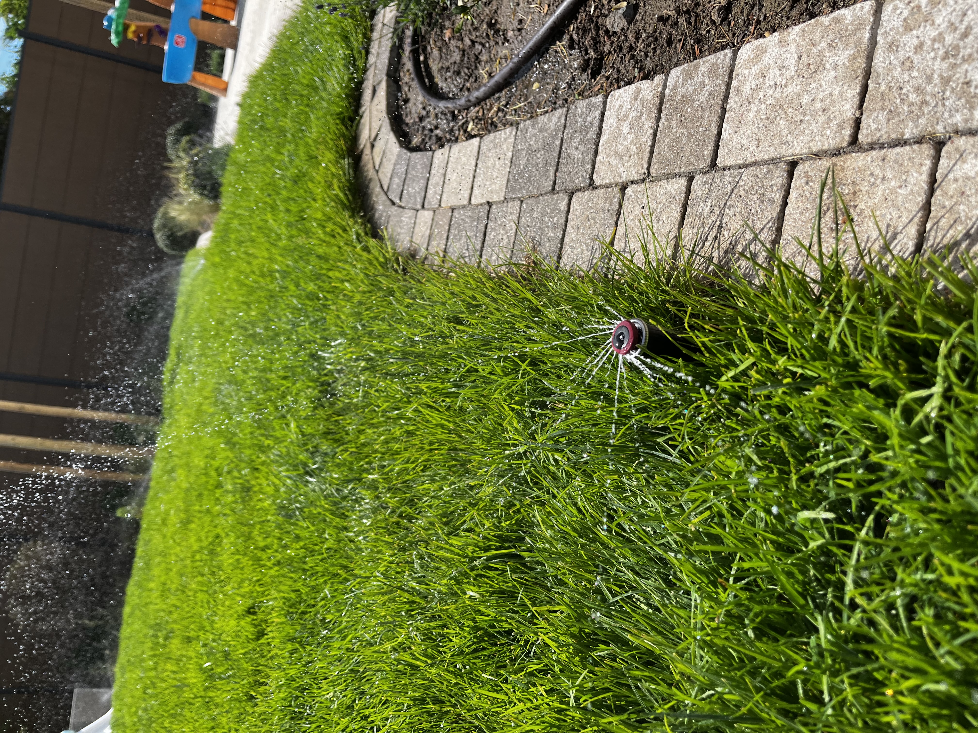 Sprinkler im Rasen